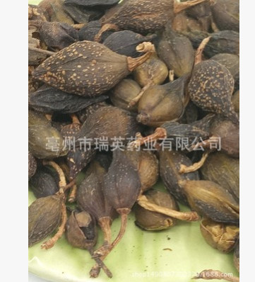 连翘中药材批发 青翘 水煮黄翘各种药食同源批发图2