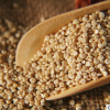 白藜麦 青海3号藜麦米厂家直销可加工500g青海藜麦散装批发 藜麦