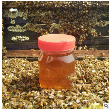 1-8 批发土蜂蜜 原蜜批发 天然蜂蜜 500克 蜂蜜百花蜜批发图3