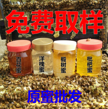 1-8蜂蜜批发 百花蜜 洋槐 枇杷 党参 枣花蜜 荆条蜜 500克 土蜂蜜