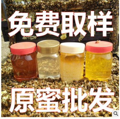 1-8蜂蜜批发 百花蜜 洋槐 枇杷 党参 枣花蜜 荆条蜜 500克 土蜂蜜图2