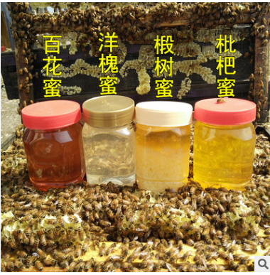 1-8蜂蜜批发 百花蜜 洋槐 枇杷 党参 枣花蜜 荆条蜜 500克 土蜂蜜图3