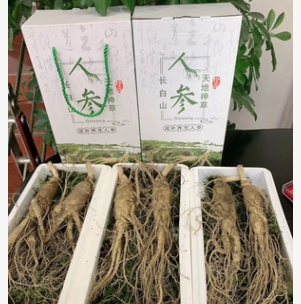 实在人/产地直销/新鲜人参规格齐全/包邮图3