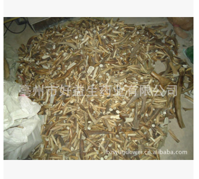 供应工艺品用鹿角尖，牛角尖，