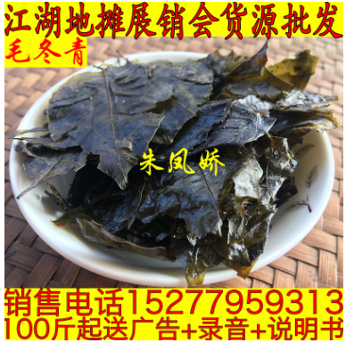 供应地摊云南毛冬青茶叶野生毛冬青嫩芽散装大叶苦丁茶大量现货