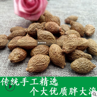 精选青果 统货胖大海 圆果长果产地直销花茶选果专营产地大货批发图3