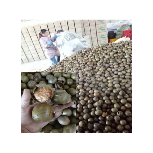 罗汉果桂林厂家批发定制养生清咽散装包装破果罗汉果仁果茶罗汉果