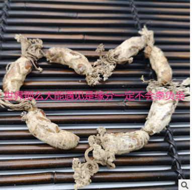 中药材金蝉花 新货无硫蝉蛹草500克包邮 野生土蝉花 蝉花粉图2