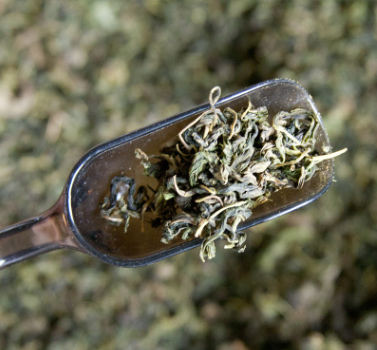 长白山丁香茶 花茶散装批发 支持一件代发可代加工图2