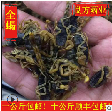 f220批发 蝎子 全蝎 中药材批发 蝎子干 全虫 价格优惠图2
