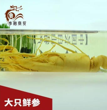 人参保鲜参长白山大人参酒瓶泡酒送礼塑料瓶精装纯粮食白酒两瓶图2