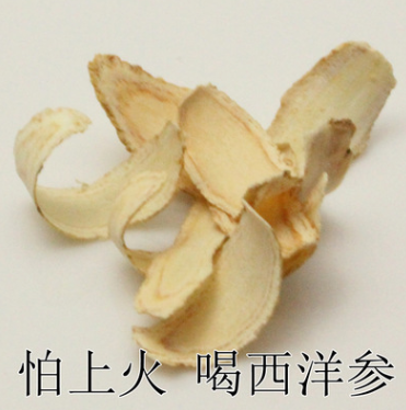西洋参片 国产西洋参西洋参卷片西洋参斜片图1