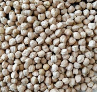 厂家批发大粒鹰嘴豆 天麻子健康粗粮鹰嘴豆图2