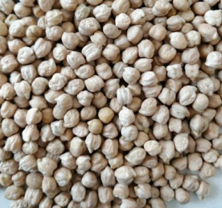 厂家批发大粒鹰嘴豆 天麻子健康粗粮鹰嘴豆图3