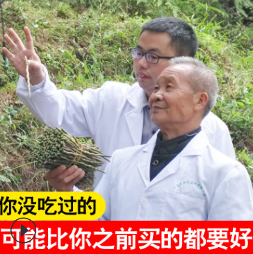 铁皮石斛鲜条 霍山原种源种 正宗4年仿野生石斛发顺丰 一件代发