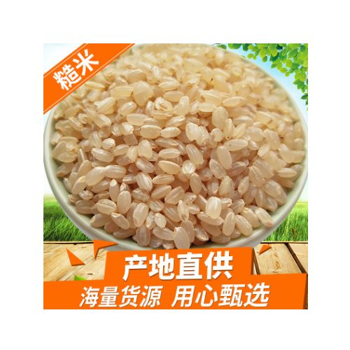 糙米 东北胚芽糙米玄米糙米饭糊卷原料健身炒米散装新米杂粮批发