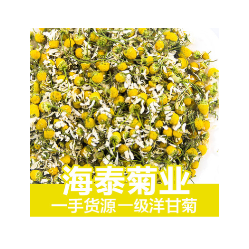 银蝶洋甘菊叶批发 洋甘菊散装批发 直销厂家价格优惠