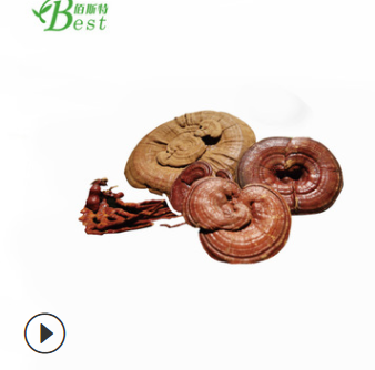 灵芝多糖50% 可1kg起 灵芝提取物50 菌丝体多糖 厂家直销图2