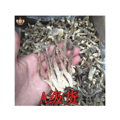 A级货切根鹿茸菌菇 干货500g一斤产地货源批发酒店加工原材料