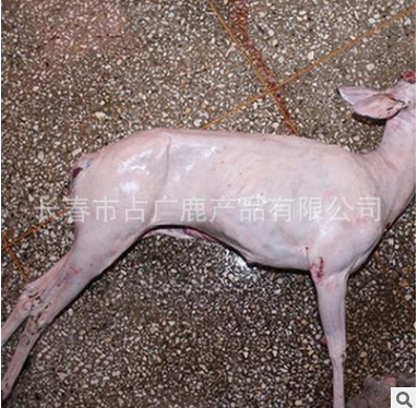 东北美食整只鹿产品鹿肉白条 大量批发新鲜鹿白条鲜肉野味图3