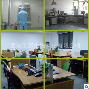 刺梨提取物30:1 天然刺梨粉 精选优质刺梨萃取 多种规格 现货包邮图3