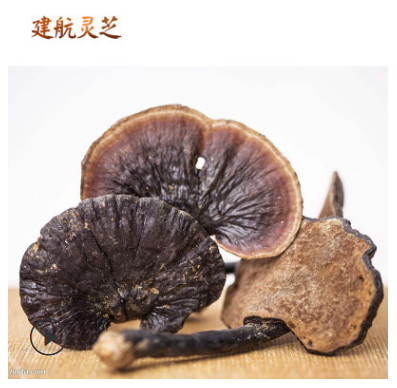 厂家批发 长柄黑灵芝 现货批发 大棵散装长柄黑灵芝