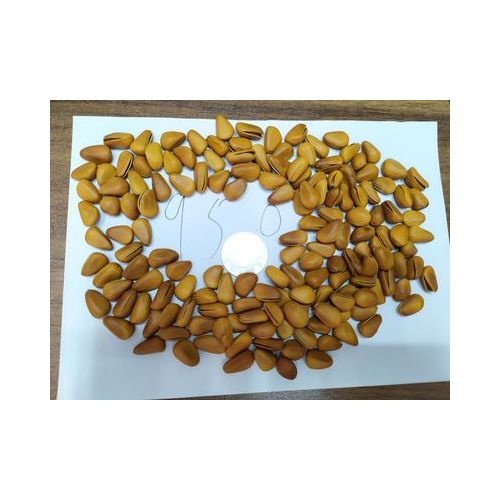 开口松子 坚果零食炒货年货特产 东北红松子开口10斤/箱