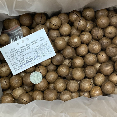精选奶油味夏威夷果澳洲夏果整箱10斤散装临安坚果炒货大量销售图2