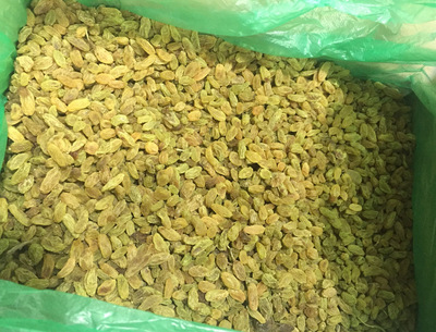 新疆特产葡萄干无核葡萄吐鲁番葡萄干散装葡萄干整箱20斤特价批发图2