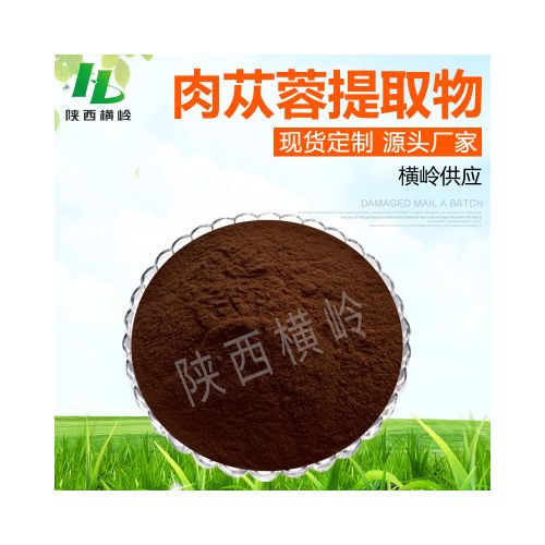 肉苁蓉提取物 50:1高比例新疆管花肉苁蓉粉 40%含肉苁蓉皂甙 包邮