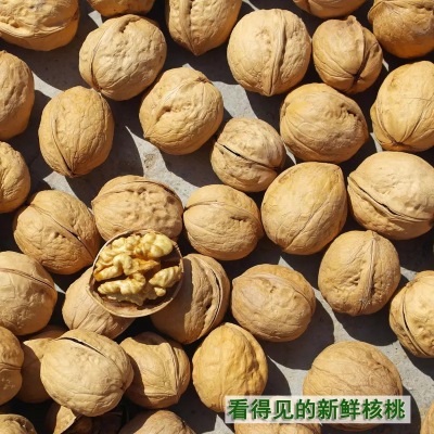 干果新疆薄皮核桃 新货皮薄肉厚 批发核桃33核桃图3