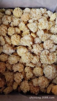 椴木银耳无硫白木耳 雪耳 自有基地寻代理分销3-4公分量大从优图2