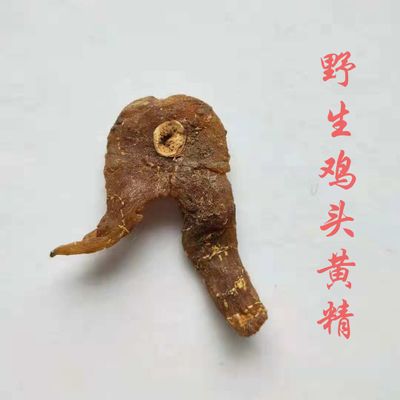 甜黄精 野生鸡头黄精 优质甜黄精 量大从优 厂家直销图2
