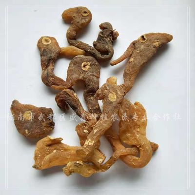 甜黄精 野生鸡头黄精 优质甜黄精 量大从优 厂家直销图3