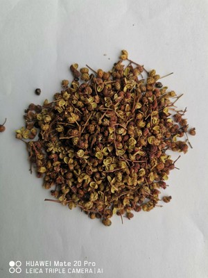 花椒 武都花椒 青红椒 麻椒 伏椒 产地批发图2