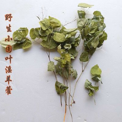 淫羊藿 甘肃陇南无杂草淫羊藿 小圆叶淫羊藿 含量≥0.5% 产地批发