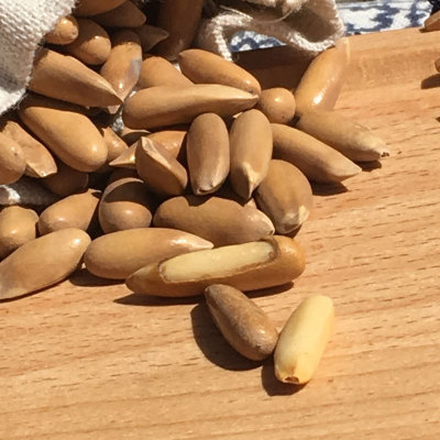 临安驰骄巴西松子250g罐装 皮薄手剥松子 休闲零食坚果一件代发图3