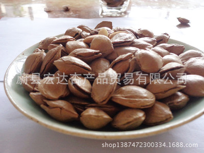 厂家批发零食 开口坚果杏核现货供应 休闲食品图2