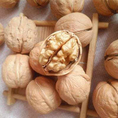 新疆特产薄皮核桃原味500g 散装孕妇坚果农家自产源头批发包邮图3