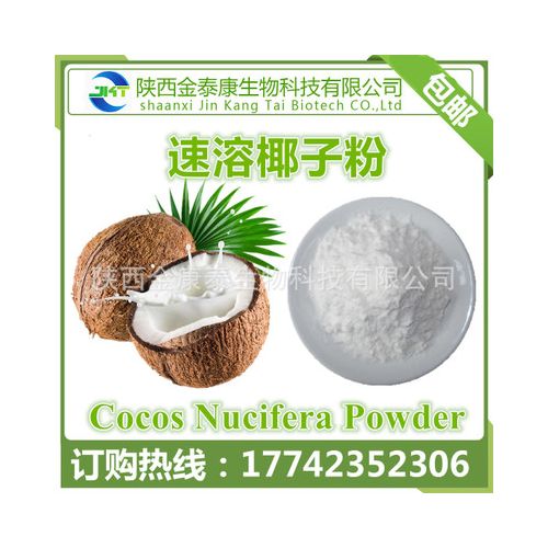厂家直销 椰果提取物 椰子粉99% 速溶椰子果粉 固体饮料原料粉