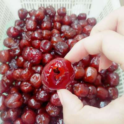 厂家直销 红无核蜜枣 金丝软蜜枣 颗粒饱满软糯香甜 软蜜枣粽子枣图1