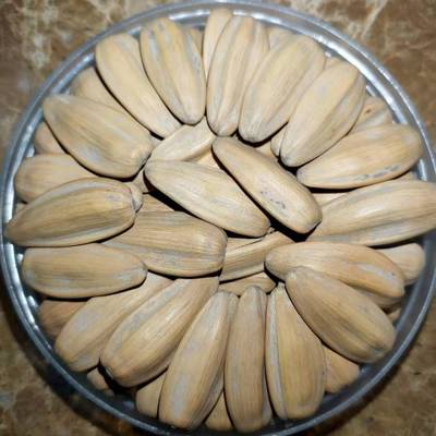 淘味熊古法瓜子350克粒粒饱满休闲零食网红爆款招微商代理图2