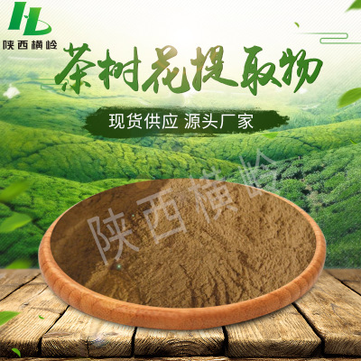 茶树花提取物 50:1高比例植物茶树花粉 含有茶多酚 横岭制品