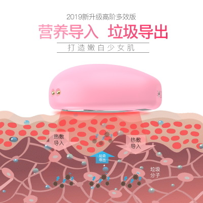 变频美容仪器家用精华离子导入仪脸部导出清洁面部按摩机洗脸仪器图3