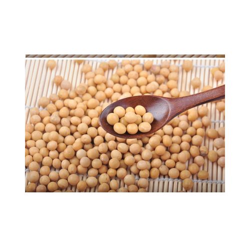 大豆 非转基因大豆 黄豆 500克 高蛋白大豆 东北大豆 玉米