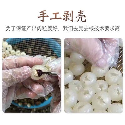 莆田桂圆肉整箱无核桂圆肉特级桂圆肉5kg空心灯笼龙眼肉可贴牌OEM图2