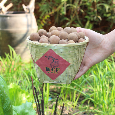 莆田6A桂圆干500g散装批发 龙眼干核小肉厚高品质土特产干货零食图2