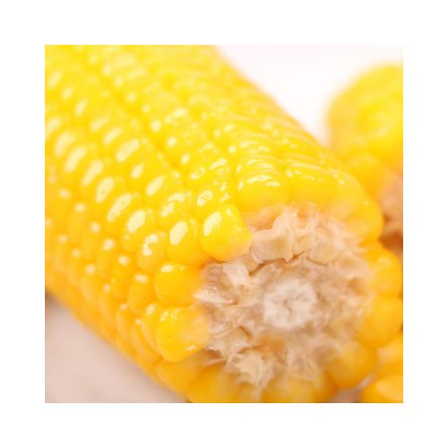 2019年新货张家口有机糯玉米 非转基因熟玉米 真空包装黄玉米10穗