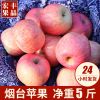 烟台红富士苹果80mm5斤 栖霞苹果 包邮不打蜡新鲜一件代发水果