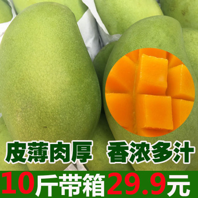 越南青芒果玉芒青皮小香芒10/5斤当季新鲜水果果园直供一件代发